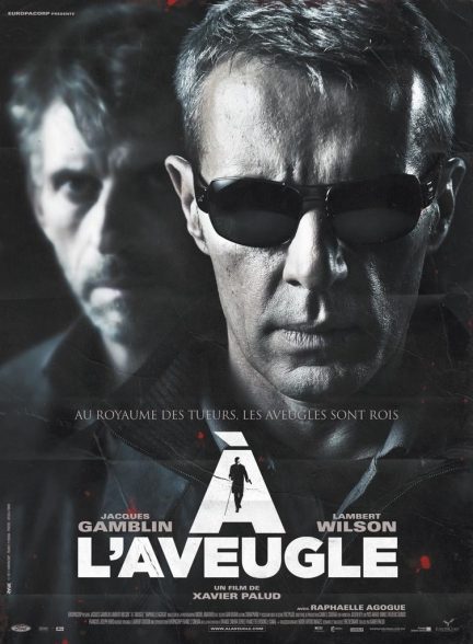 دانلود صوت دوبله فیلم Blind Man 2012