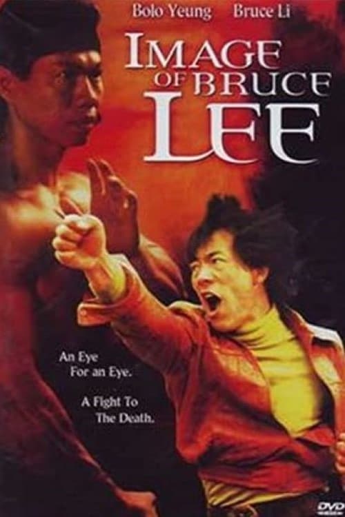 دانلود صوت دوبله فیلم Image of Bruce Lee 1978