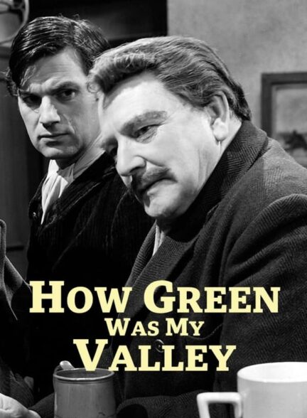 دانلود صوت دوبله فیلم How Green Was My Valley 1941