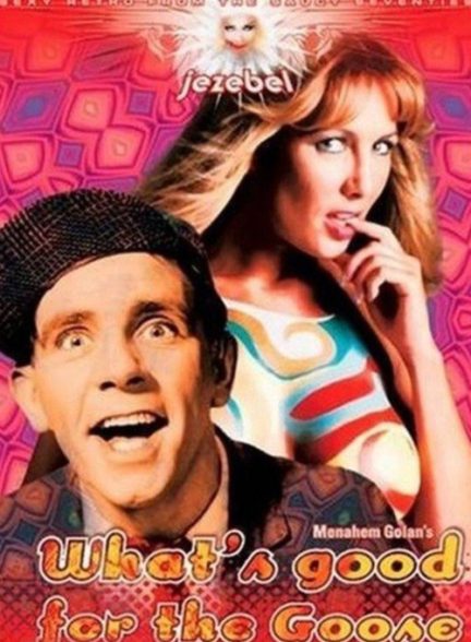 دانلود صوت دوبله فیلم What’s Good for the Goose 1969