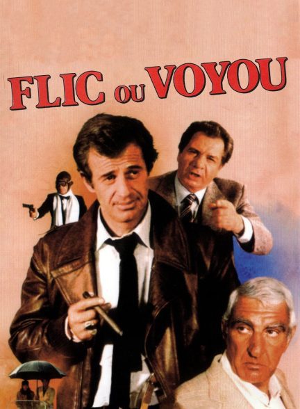 دانلود صوت دوبله فیلم Cop or Hood 1979