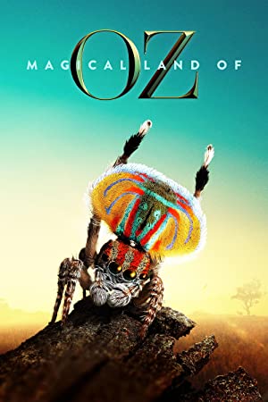 دانلود صوت دوبله سریال Magical Land of Oz