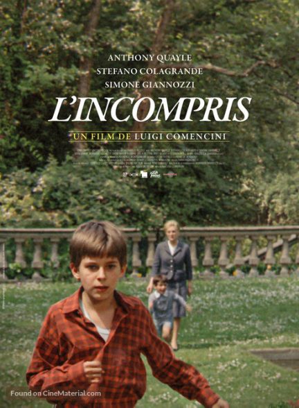 دانلود صوت دوبله فیلم Misunderstood