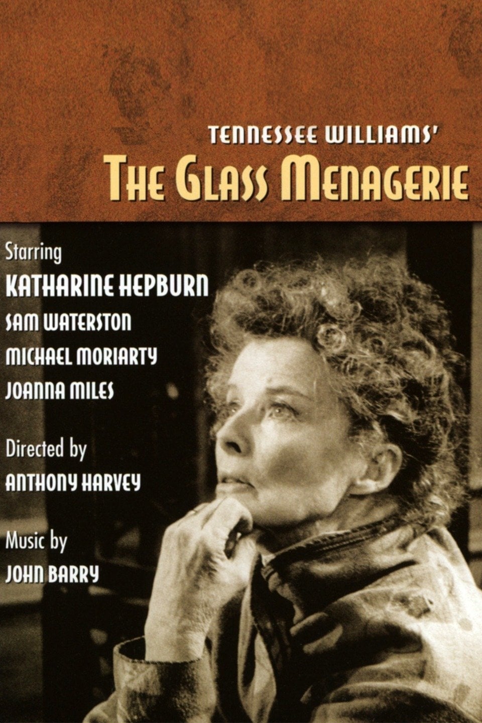 دانلود صوت دوبله فیلم The Glass Menagerie