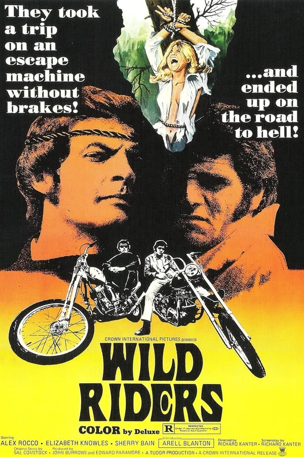 دانلود صوت دوبله فیلم Wild Riders