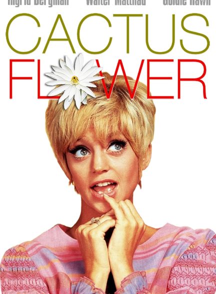 دانلود صوت دوبله فیلم Cactus Flower