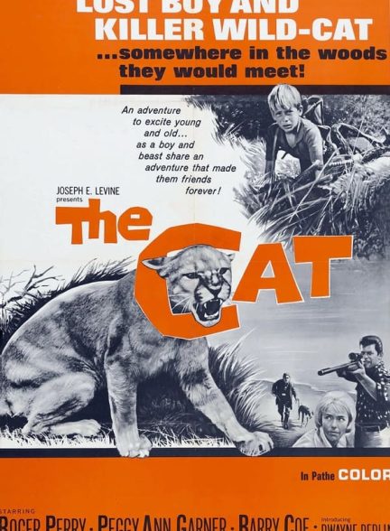 دانلود صوت دوبله فیلم The Cat