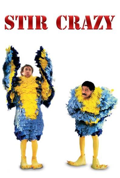 دانلود صوت دوبله فیلم Stir Crazy