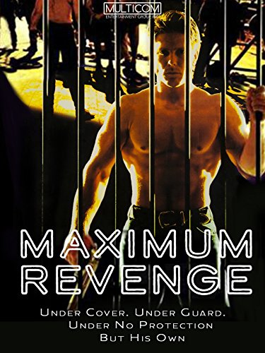 دانلود صوت دوبله فیلم Maximum Revenge