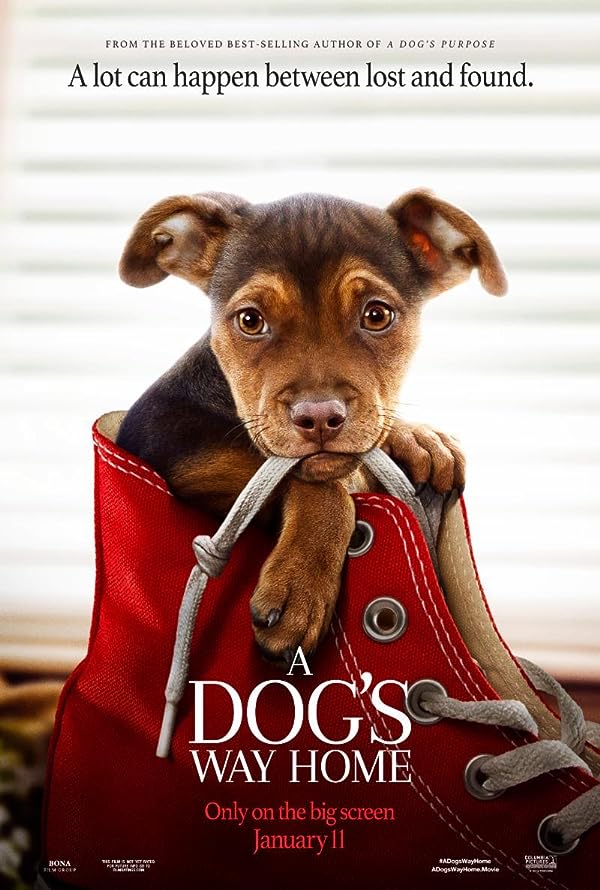 دانلود صوت دوبله فیلم A Dog’s Way Home