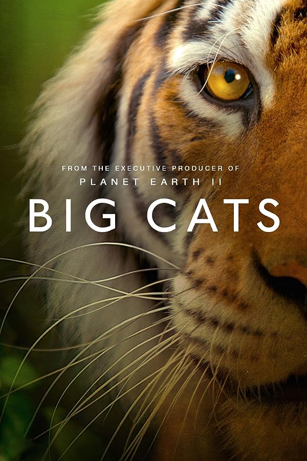 دانلود صوت دوبله سریال Big Cats
