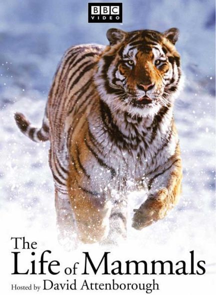 دانلود صوت دوبله سریال The Life of Mammals