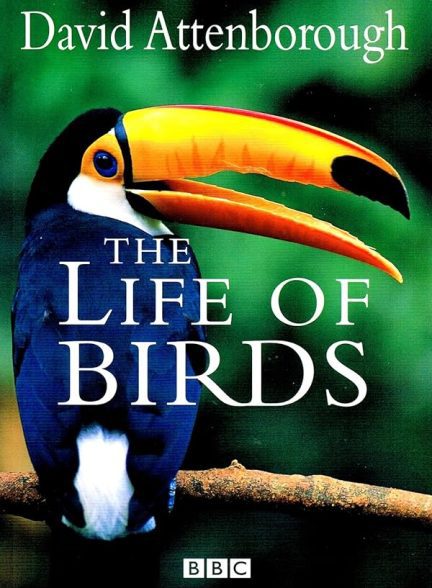 دانلود صوت دوبله سریال  The Life of Birds