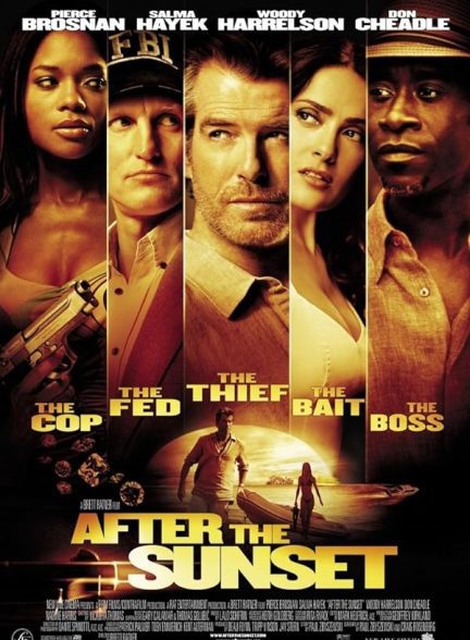 دانلود صوت دوبله فیلم After the Sunset 2004