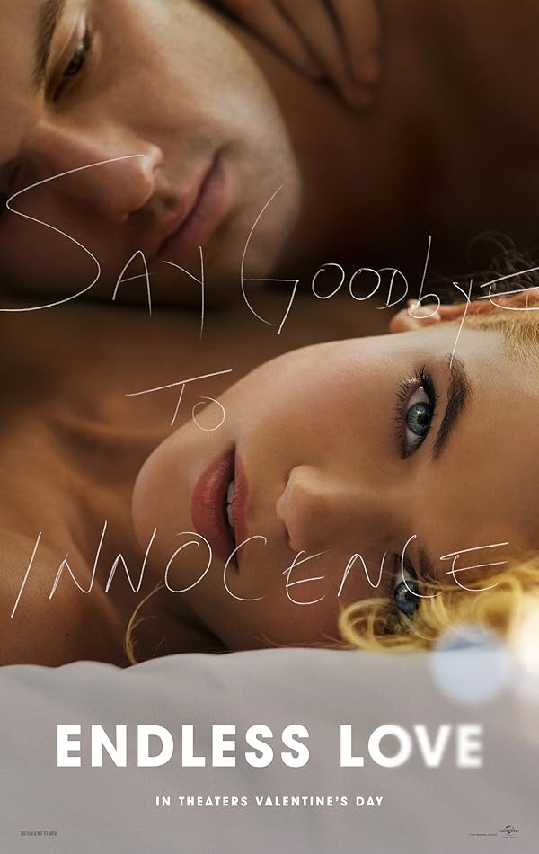 دانلود صوت دوبله فیلم Endless Love