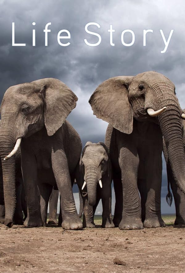 دانلود صوت دوبله سریال Life Story