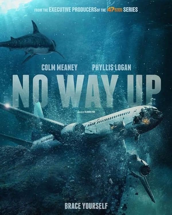 دانلود صوت دوبله فیلم No Way Up