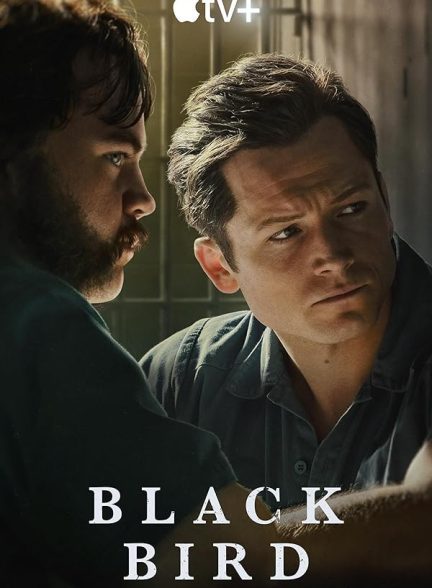 دانلود صوت دوبله سریال Black Bird