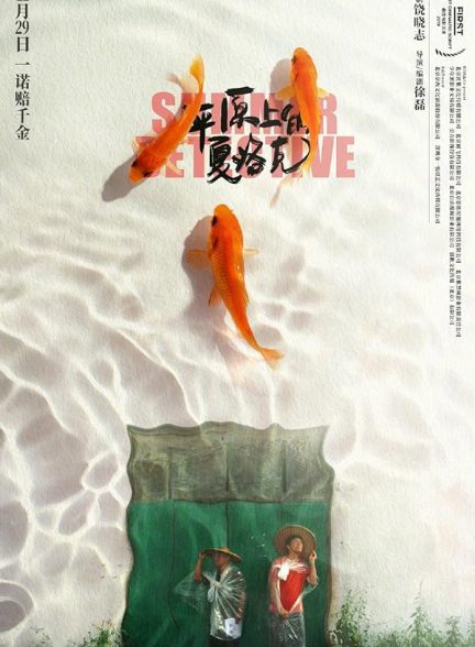 دانلود صوت دوبله فیلم Summer Detective 2019