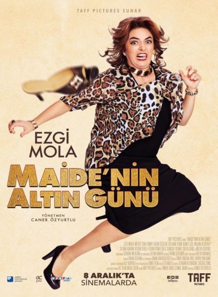 دانلود صوت دوبله فیلم Maide’nin Altin Gunu