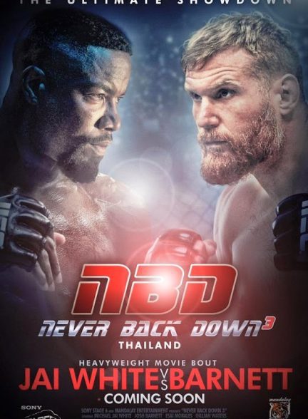 دانلود صوت دوبله فیلم Never Back Down: No Surrender