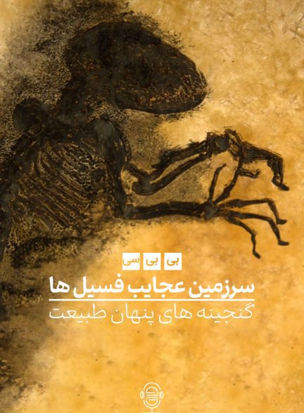 دانلود صوت دوبله سریال Fossil Wonderlands: Nature’s Hidden Treasures