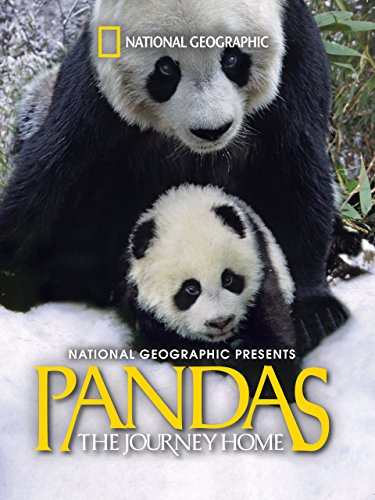دانلود صوت دوبله فیلم Pandas: The Journey Home