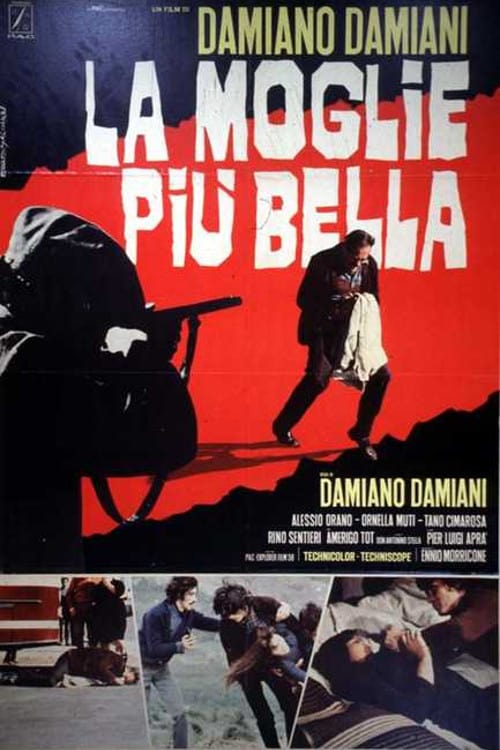 دانلود صوت دوبله فیلم The Most Beautiful Wife 1970