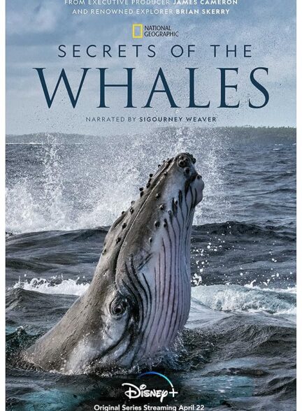 دانلود صوت دوبله سریال Secrets of the Whales