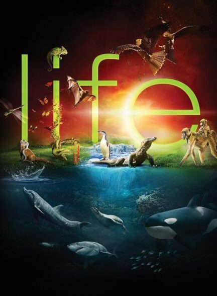دانلود صوت دوبله سریال Life