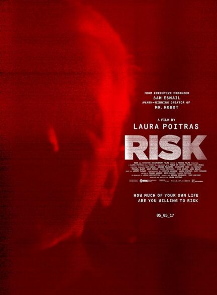 دانلود صوت دوبله فیلم Risk