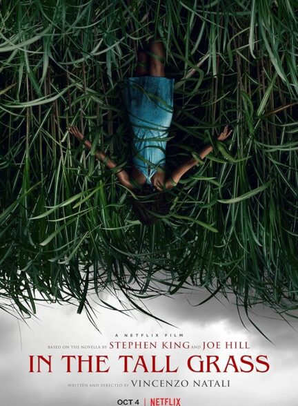 دانلود صوت دوبله فیلم In the Tall Grass 2019
