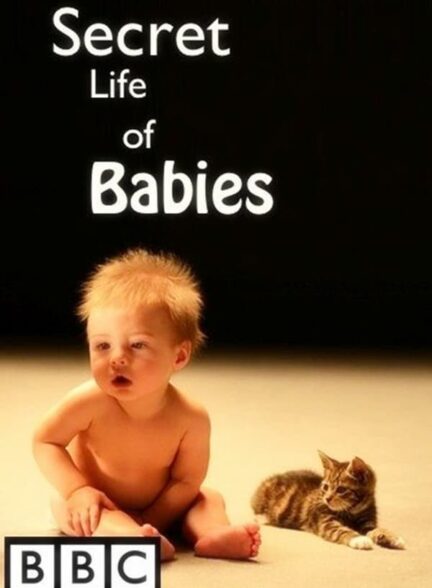 دانلود صوت دوبله فیلم Secret Life of Babies