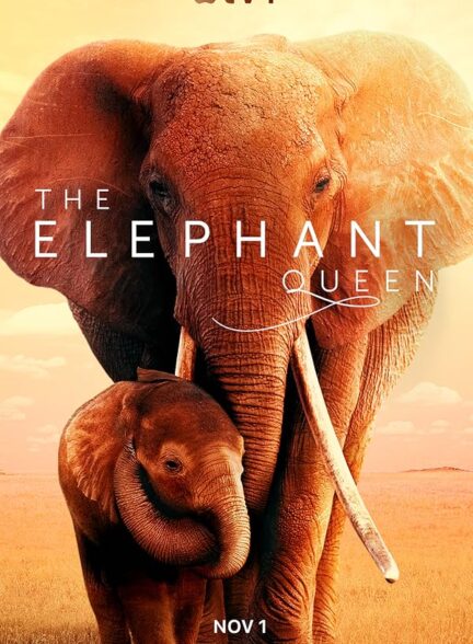 دانلود صوت دوبله فیلم The Elephant Queen 2019