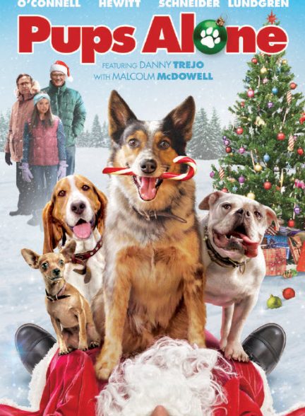 دانلود صوت دوبله فیلم Pups Alone