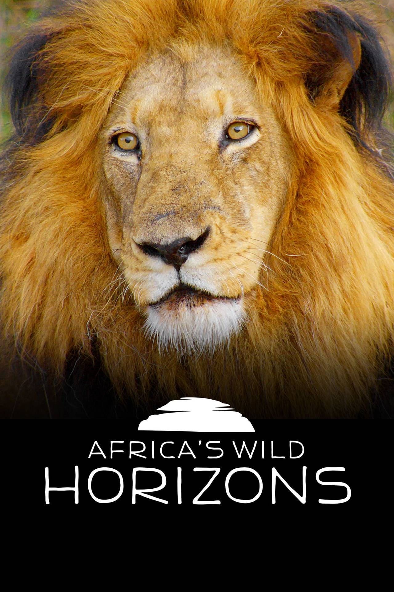 دانلود صوت دوبله سریال Africa’s Wild Horizons