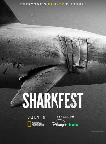 دانلود صوت دوبله مستند Sharks Up Close with Bertie Gregory